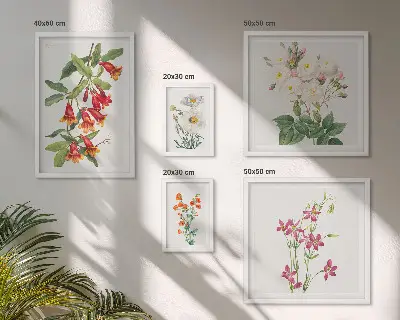 Conjunto de 5 quadros com moldura com motivos botânicos florais