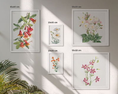 Conjunto de 5 quadros com moldura motivos botânicos florais