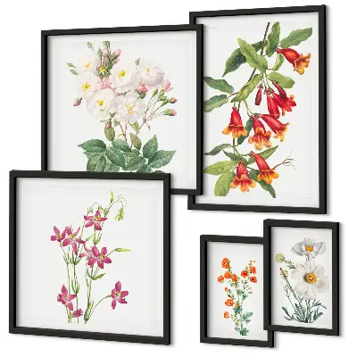 Conjunto de 5 quadros com moldura com motivos botânicos florais