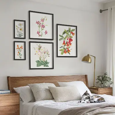 Conjunto de 5 quadros com moldura com motivos botânicos florais