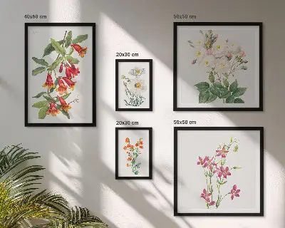 Conjunto de 5 quadros com moldura com motivos botânicos florais