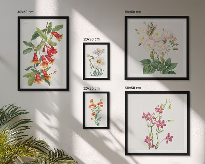 Conjunto de 5 quadros com moldura motivos botânicos florais