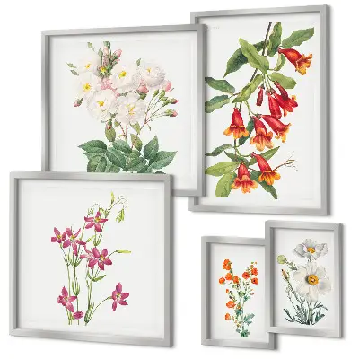 Conjunto de 5 quadros com moldura com motivos botânicos florais