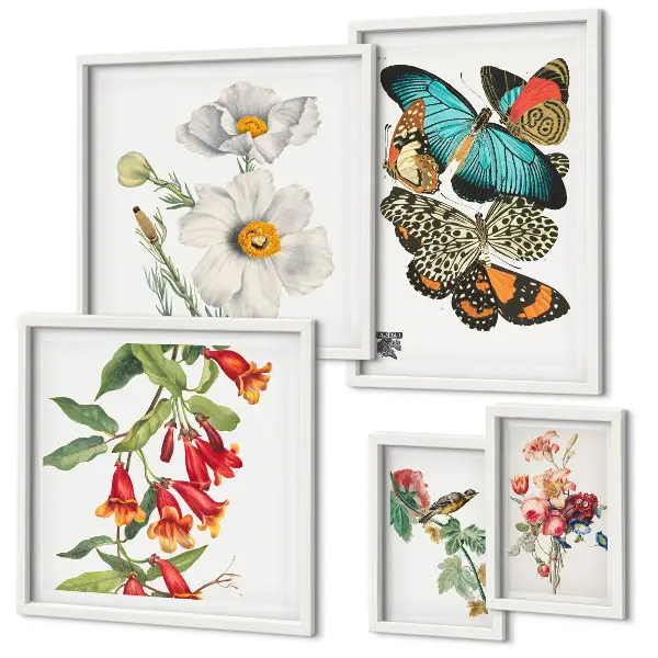 Conjunto de 5 quadros decorativos com ilustrações vintage de flores, borboletas e pássaros