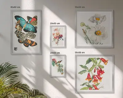 Conjunto de 5 quadros decorativos com ilustrações vintage de flores, borboletas e pássaros