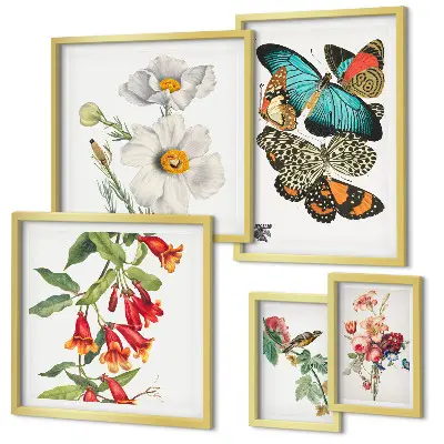 Conjunto de 5 quadros decorativos com ilustrações vintage de flores, borboletas e pássaros