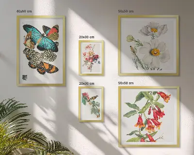 Conjunto de 5 quadros decorativos com ilustrações vintage de flores, borboletas e pássaros