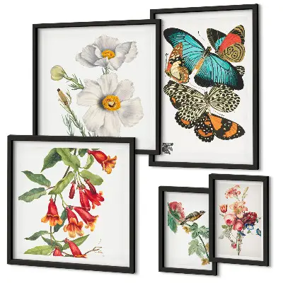 Conjunto de 5 quadros decorativos com ilustrações vintage de flores, borboletas e pássaros