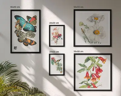 Conjunto de 5 quadros decorativos com ilustrações vintage de flores, borboletas e pássaros