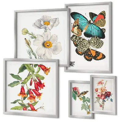 Conjunto de 5 quadros decorativos com ilustrações vintage de flores, borboletas e pássaros