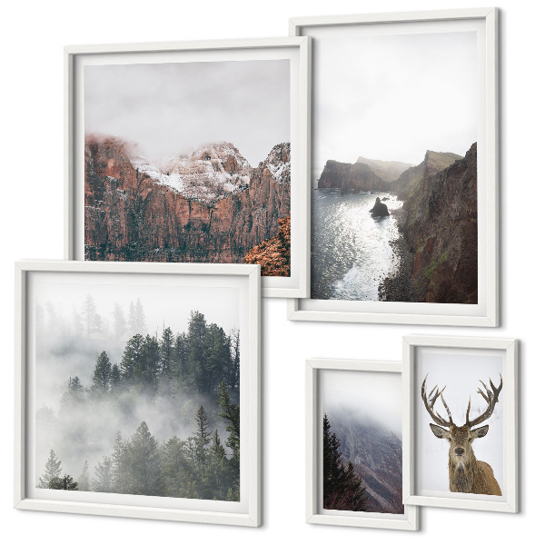 Conjunto de 5 quadros decorativos paisagens da vida selvagem