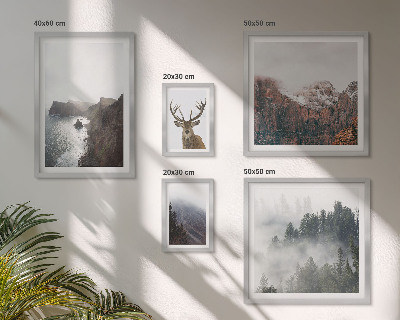 Conjunto de 5 quadros decorativos paisagens da vida selvagem