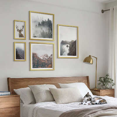 Conjunto de 5 quadros decorativos paisagens da vida selvagem
