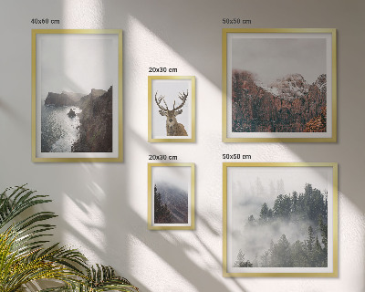 Conjunto de 5 quadros decorativos paisagens da vida selvagem