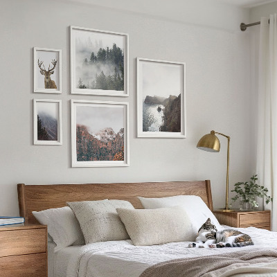 Conjunto de 5 quadros decorativos paisagens da vida selvagem