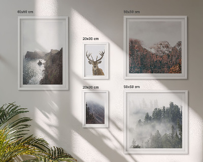 Conjunto de 5 quadros decorativos paisagens da vida selvagem