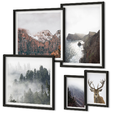 Conjunto de 5 quadros decorativos paisagens da vida selvagem