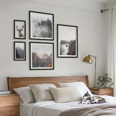 Conjunto de 5 quadros decorativos paisagens da vida selvagem