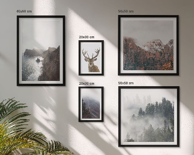 Conjunto de 5 quadros decorativos paisagens da vida selvagem