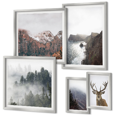 Conjunto de 5 quadros decorativos paisagens da vida selvagem