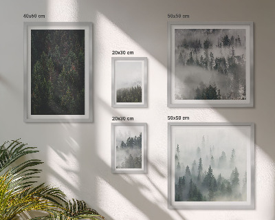 Conjunto de 5 quadros decorativos Florestas verdes em paisagens envoltas em névoa