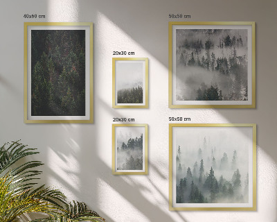 Conjunto de 5 quadros decorativos Florestas verdes em paisagens envoltas em névoa