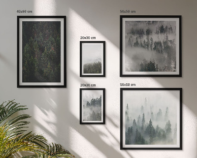 Conjunto de 5 quadros decorativos Florestas verdes em paisagens envoltas em névoa