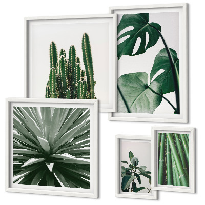 Galeria de parede Plantas tropicais verdes para interiores