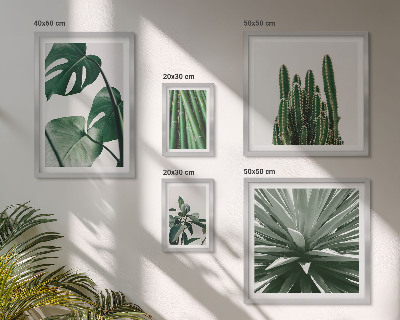 Galeria de parede Plantas tropicais verdes para interiores