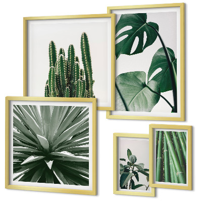 Galeria de parede Plantas tropicais verdes para interiores