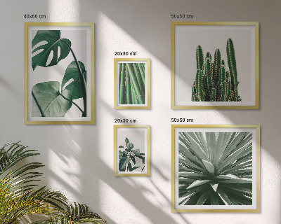 Galeria de parede Plantas tropicais verdes para interiores
