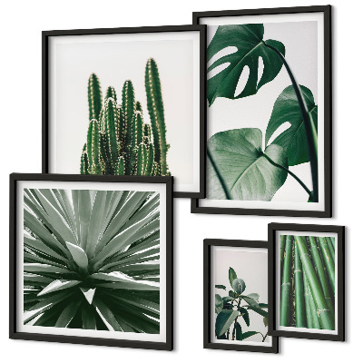 Galeria de parede Plantas tropicais verdes para interiores