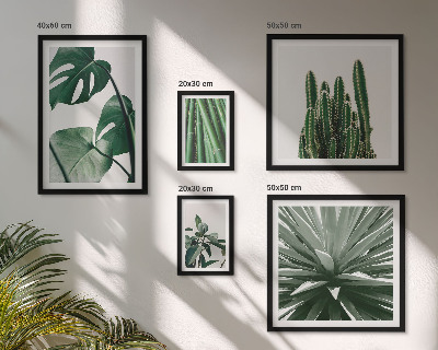 Galeria de parede Plantas tropicais verdes para interiores