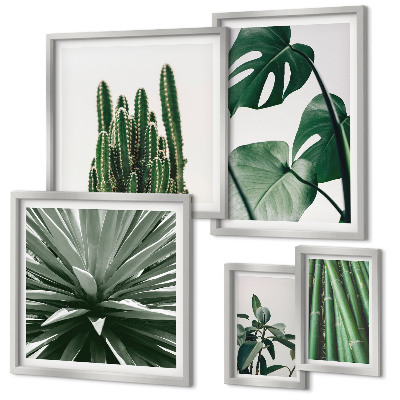 Galeria de parede Plantas tropicais verdes para interiores