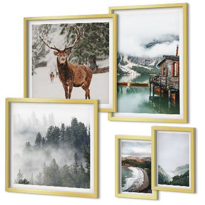 Conjunto de 5 quadros decorativos Natureza, vida selvagem, montanhas