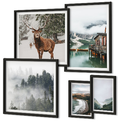 Conjunto de 5 quadros decorativos Natureza, vida selvagem, montanhas