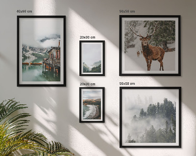 Conjunto de 5 quadros decorativos Natureza, vida selvagem, montanhas