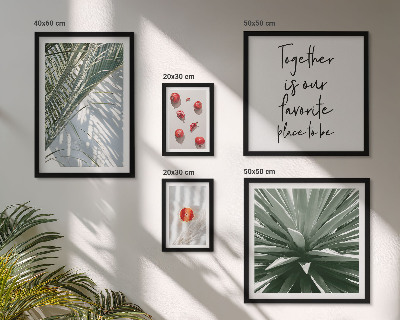 Conjunto de 5 quadros com moldura Estilo boho, plantas, frutas, trópicos
