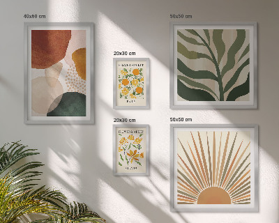 Conjunto de 5 quadros com moldura Gráficos de plantas elegantes com geometria