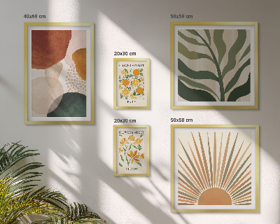 Conjunto de 5 quadros com moldura Gráficos de plantas elegantes com geometria