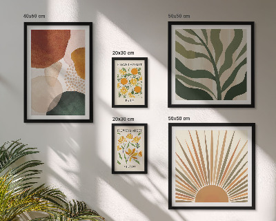 Conjunto de 5 quadros com moldura Gráficos de plantas elegantes com geometria