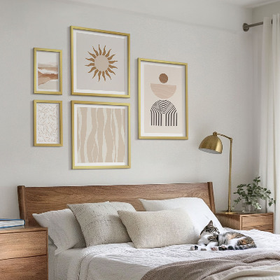 Conjunto de 5 quadros decorativos Formas abstratas e elegantes da natureza
