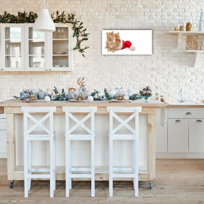 Relógio de parede Níveis-Gatos Natal Papai Noel