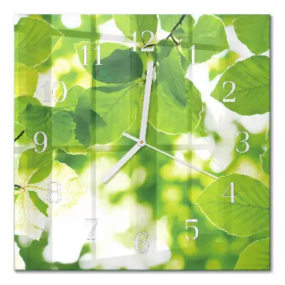 Relógio decoração Folhas