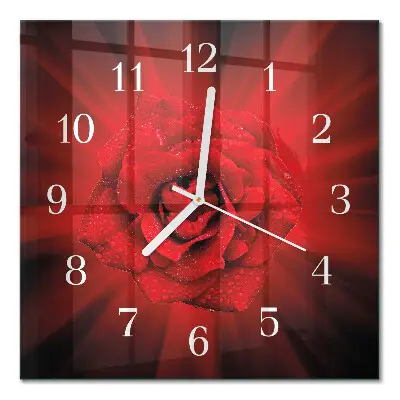 Relógio decoração Rosa