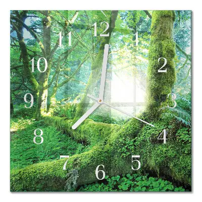 Relógio decoração musgo da floresta