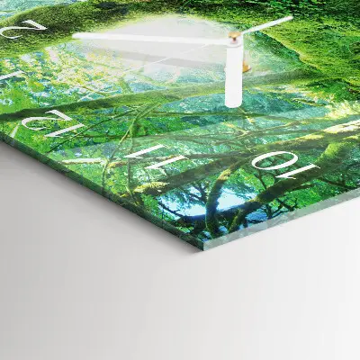 Relógio decoração musgo da floresta