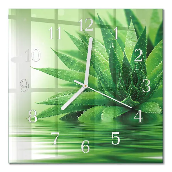 Relógio quadrado Aloe