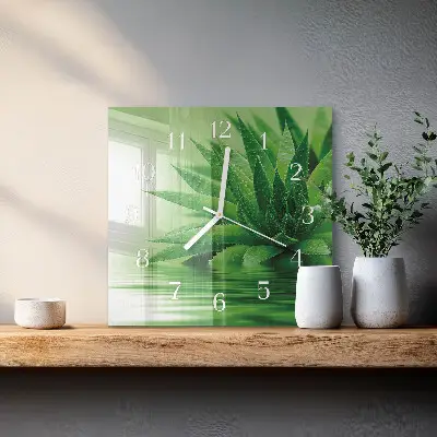Relógio quadrado Aloe