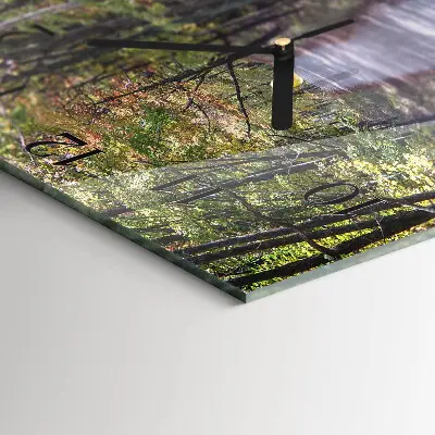 Relógio de parede quadrado Trilha na floresta